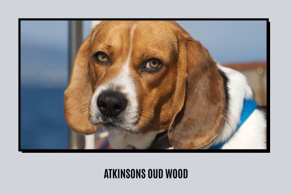 Atkinsons - Oud Wood