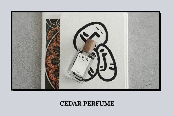 cedar perfume