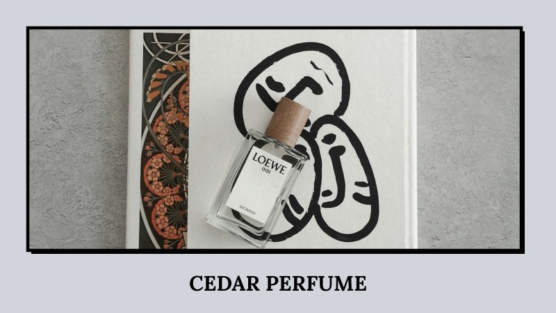 cedar perfume
