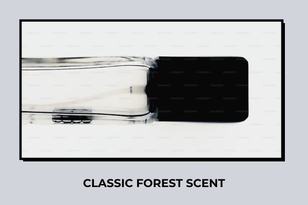 classic forest scent