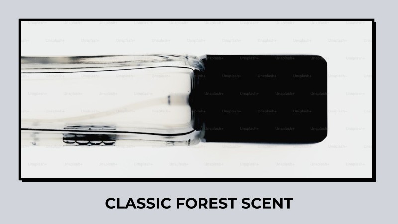 classic forest scent