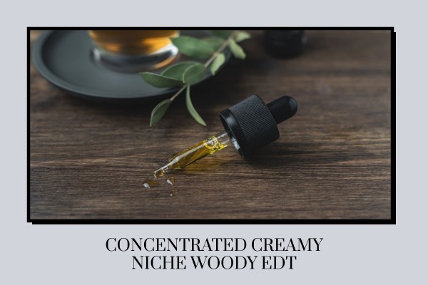 concentrated creamy niche woody edt