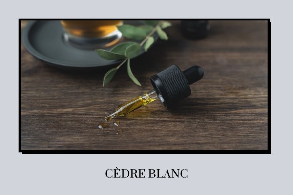 Cèdre - Blanc