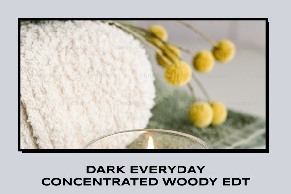 dark everyday concentrated woody edt