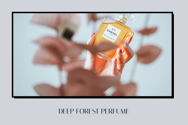 deep forest perfume