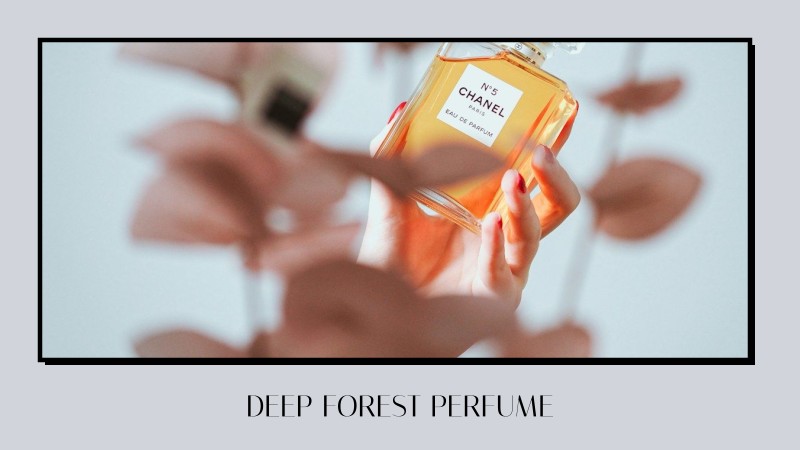 deep forest perfume