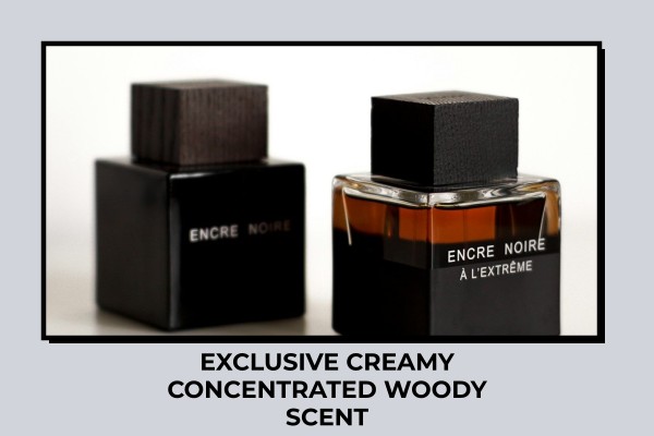 exclusive creamy concentrated woody scent