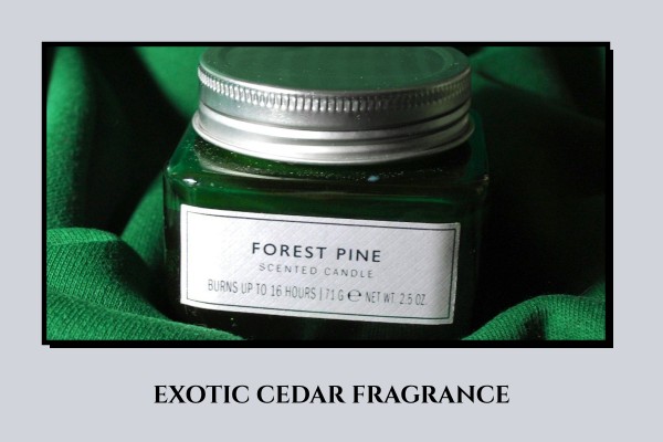 exotic cedar fragrance
