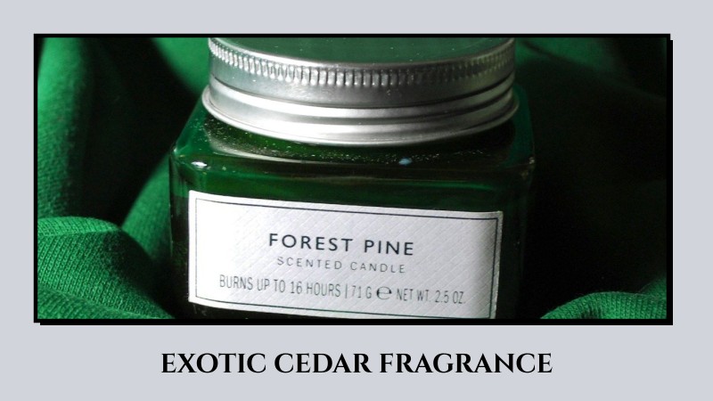 exotic cedar fragrance