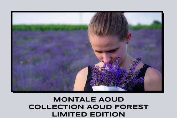 Montale - Aoud Collection Aoud Forest Limited Edition