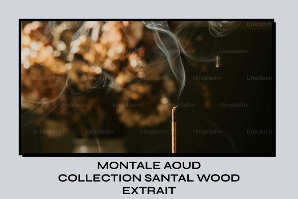 Montale - Aoud Collection Santal Wood Extrait