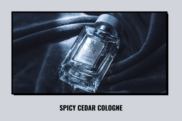 spicy cedar cologne