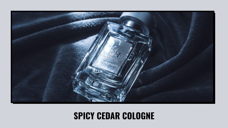 spicy cedar cologne