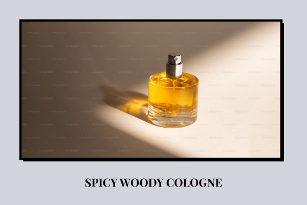 spicy woody cologne