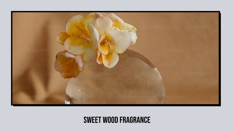 sweet wood fragrance