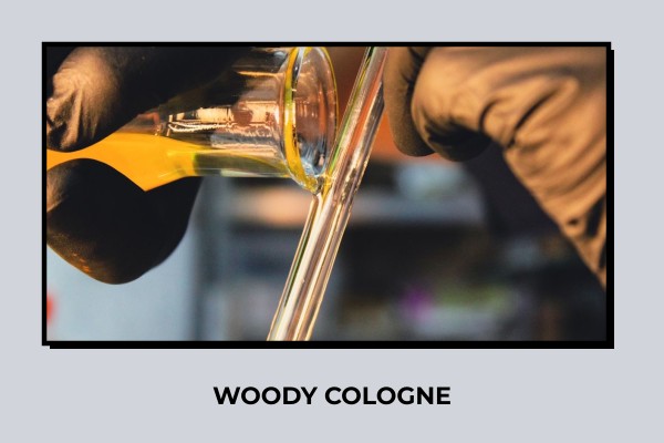 woody cologne