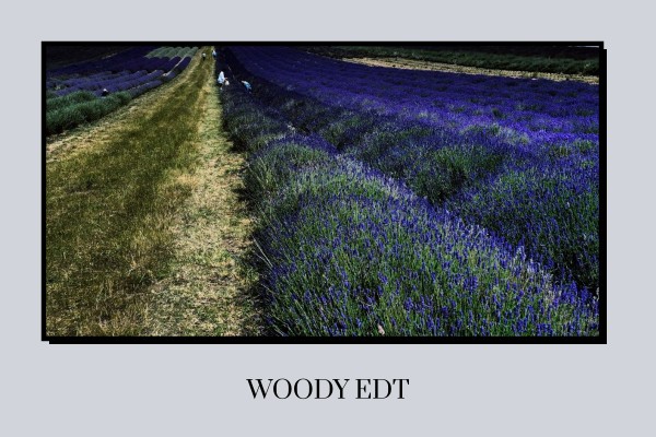 woody edt