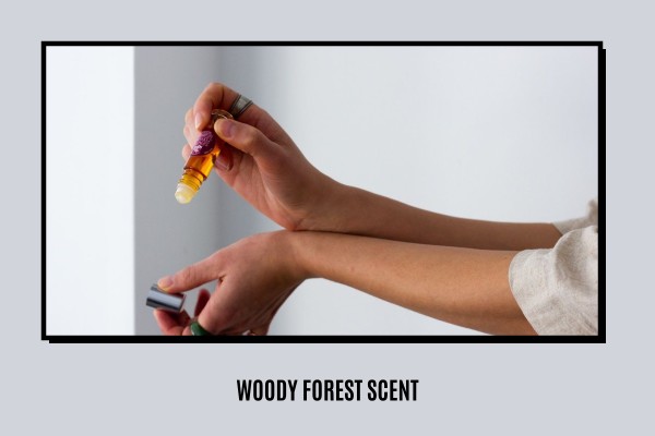 woody forest scent
