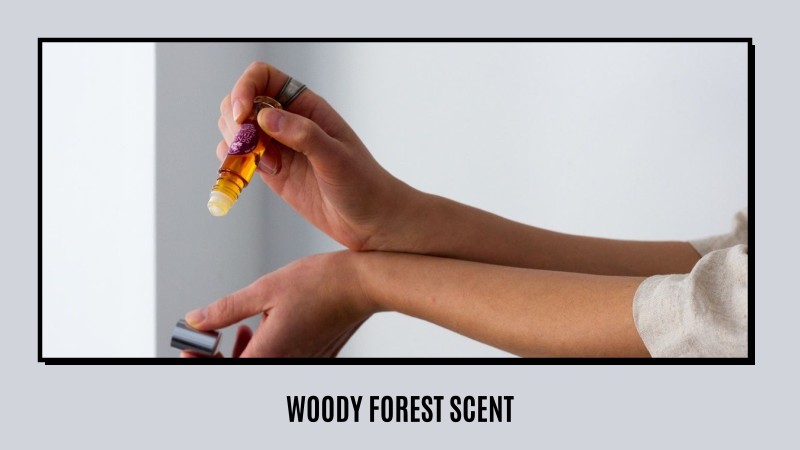 woody forest scent